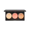 Pro Cheek Palette - Carnation - Ryize 